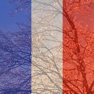 Meet your Posher, Viola