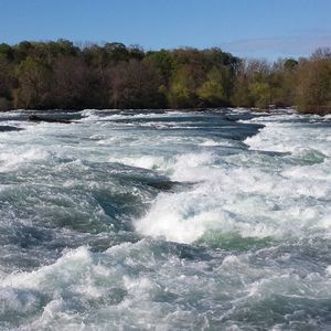 Meet your Posher, Ramona