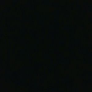 Meet your Posher, Kyra