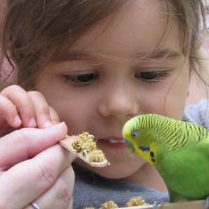 Meet your Posher, Barb