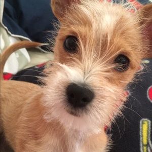 Meet your Posher, Lacey