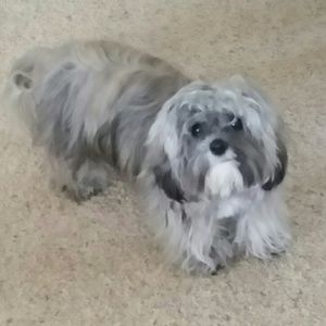 Meet your Posher, Janaye