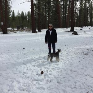 Meet your Posher, Chito