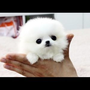 Meet your Posher, Cathy