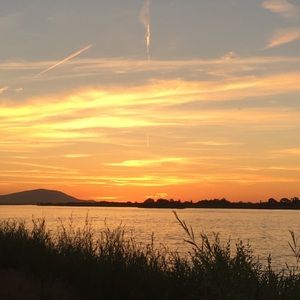 Meet your Posher, Tasha