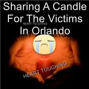 Meet your Posher, Mattie