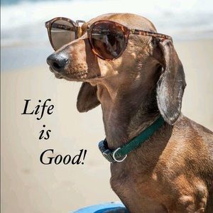 Meet your Posher, Tammy