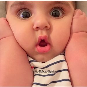 Meet your Posher, Hawii