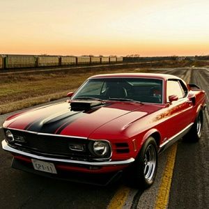 Meet your Posher, Faith