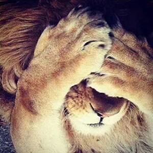 Meet your Posher, Lena