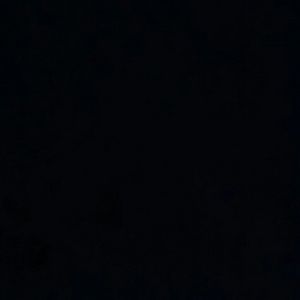 Meet your Posher, Audrey