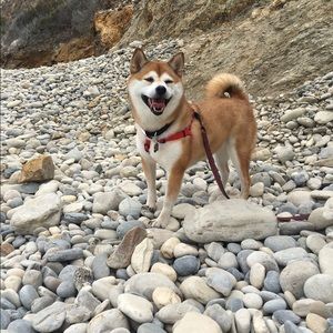 Meet your Posher, Yumi