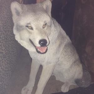 Meet your Posher, Ellen