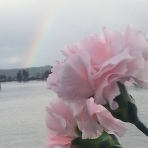 Meet your Posher, Tonya