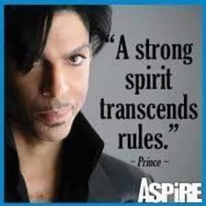 Meet your Posher, Dyan