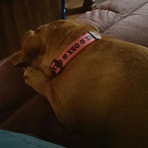 Meet your Posher, Sherry