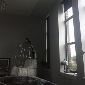 Meet your Posher, Dani