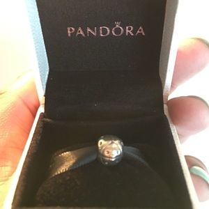 Pandora Charm
