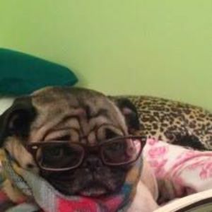 Meet your Posher, Ruby