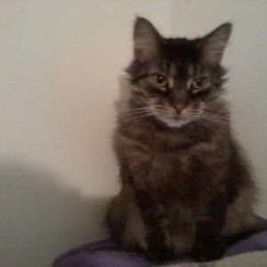 Meet your Posher, Sharon