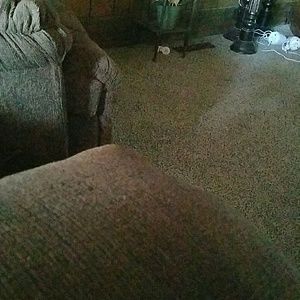 Meet your Posher, Rae