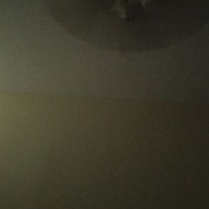 Meet your Posher, Sabrina