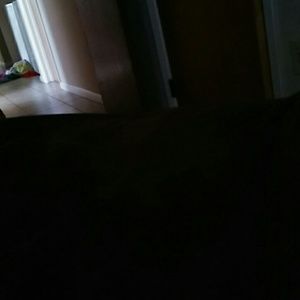 Meet your Posher, Corlette