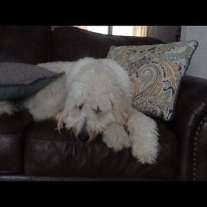 Meet your Posher, Bethany