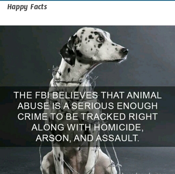 Meet your Posher, Cynthia - Picture 2 of 3