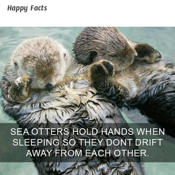 Meet your Posher, Cynthia - Picture 3 of 3