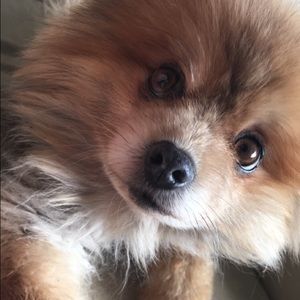 Meet your Posher, Tiffany