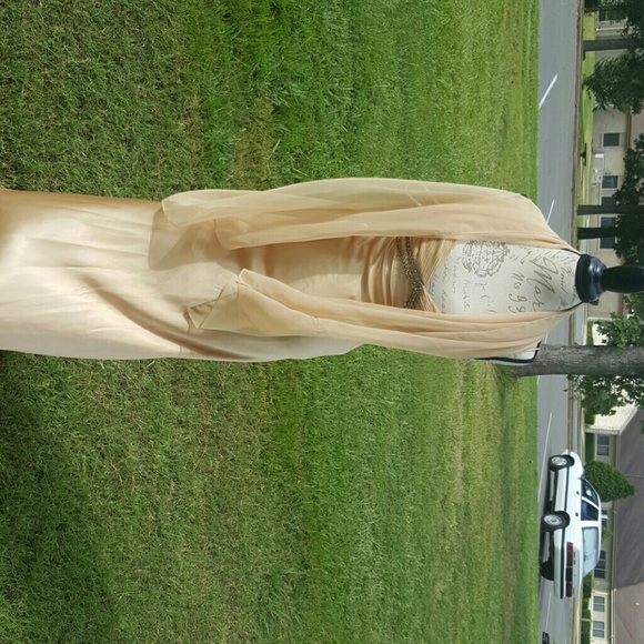 Beautiful  Gold Evening Dreas - Picture 3 of 4