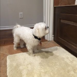 Meet your Posher, Rhonda