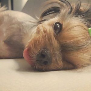 Meet your Posher, Yoon jung