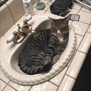 Meet your Posher, Martha