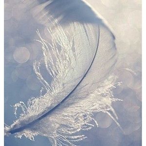 Meet your Posher, Kristy