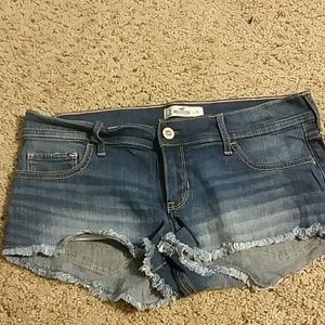 Hollister Shorts NWOT