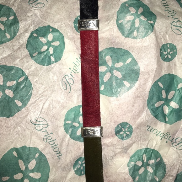 Brighton Belt Multicolor BNWT THIS Weekend Only - Picture 4 of 4