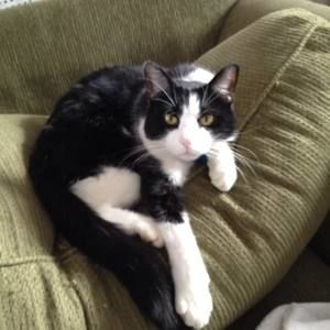 Meet your Posher, Nora