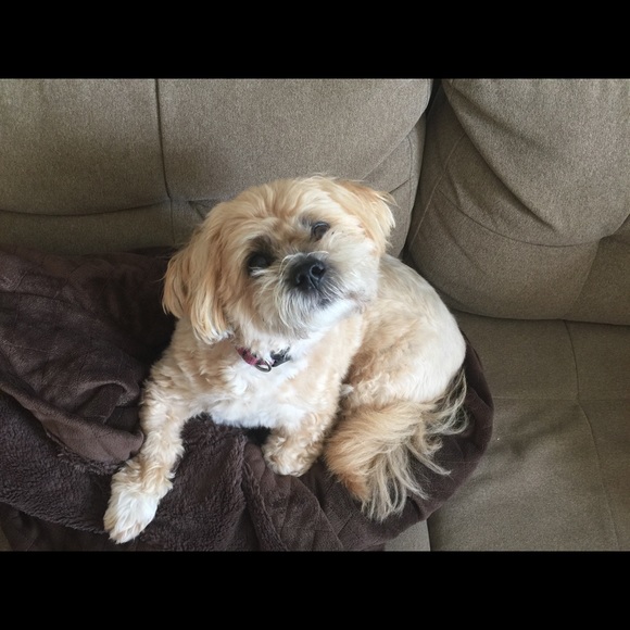 Meet your Posher, Caitlin - Picture 1 of 1