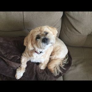 Meet your Posher, Caitlin