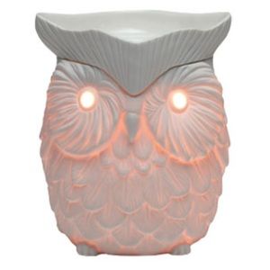 Whoot Scentsy Warmer