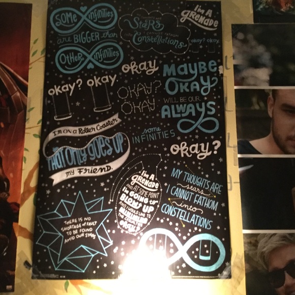 TFIOS poster - Picture 2 of 4