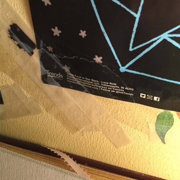 TFIOS poster - Picture 4 of 4