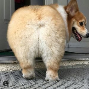 Meet your Posher, Catherine