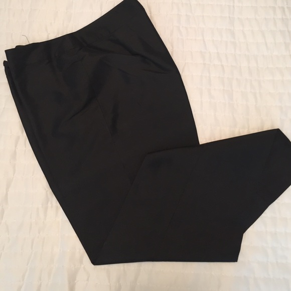 Silk Ann Taylor Dressy Pants