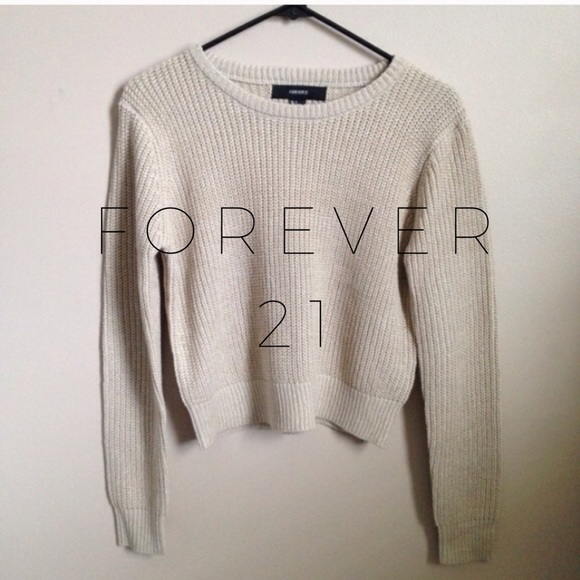 Forever 21 Cropped Sweater