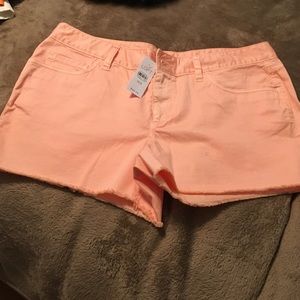 Loft Shorts - BNWT