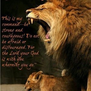 Meet your Posher, Bonnie