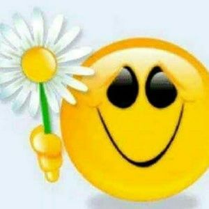 Meet your Posher, Misty